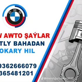 BMW Zapjaslar islendik saylary