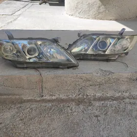 Okuz kelle fara haliji