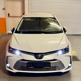 Toyota Corolla 2020