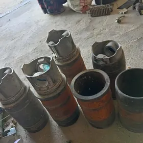 Maz gılza porsyn