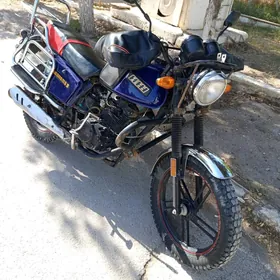 Fekon FK150-8G 2024
