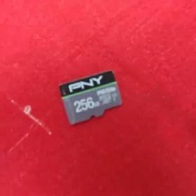 Cip 256 çip
