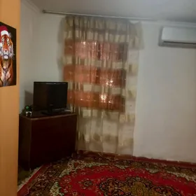 квартира