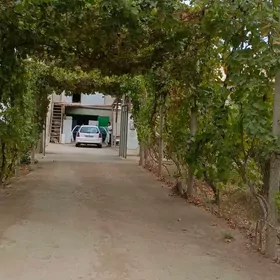 TEJEN Satlyk plan jaÿ