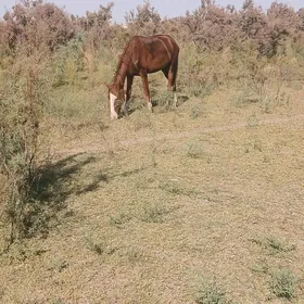 At