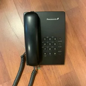 domasny tel