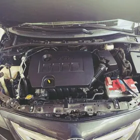 Toyota Corolla 2013