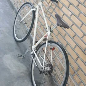 welik 700  7 skor