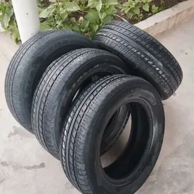 195.65.15. ROTALLA