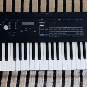 Roland D 20