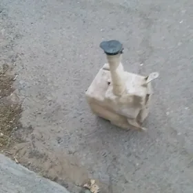 suw baçok