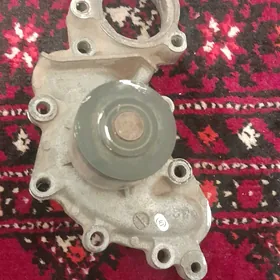 pompa runner