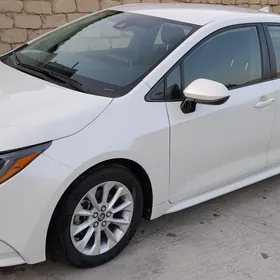 Toyota Corolla 2020