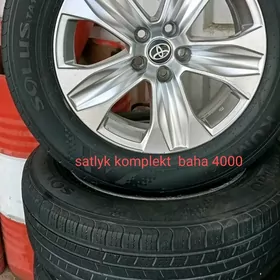 Haýlander disga pakryşga