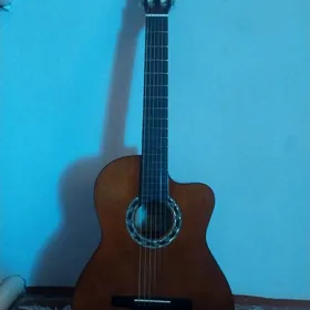 Gitara carissa