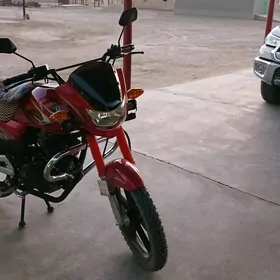 Fekon FK200-14G 2025
