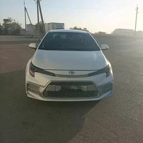 Toyota Corolla 2020