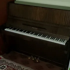 Pianino