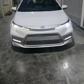 Toyota Corolla 2020