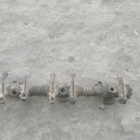 Морда Арасса зат