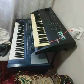 blok Korg PA 800