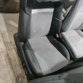 2014 kamry palta sag tarap