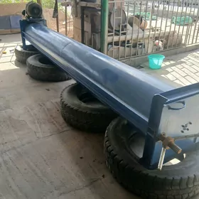 Haly Suwyny sykýan guratýan