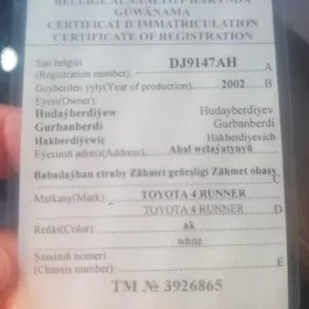 Teh pasport yitdi