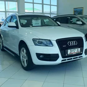 Audi Q5 2010