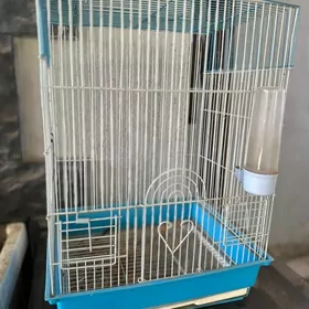 клетка птичья