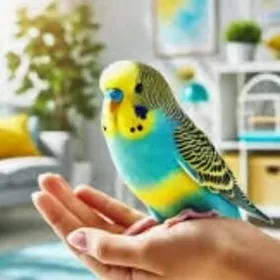 popugay gus imleri setklary