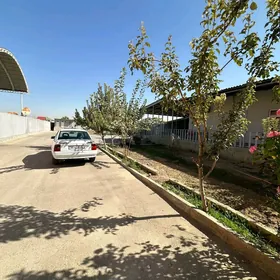 90 razyest 16sotok 5kom