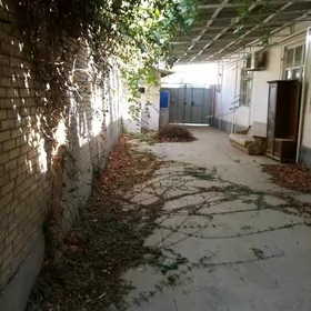 ARENDA AK ALTYN 2.5 sot