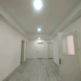 ÁNEW POLU_ELITKA 5 KOM