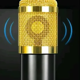 studio, студио