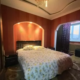 arenda jay  Mir 1