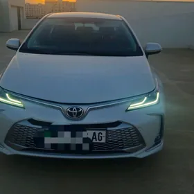 Toyota Corolla 2023