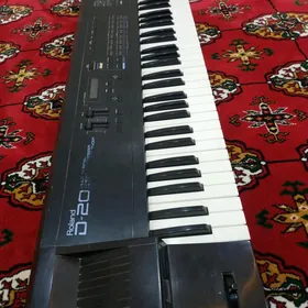ROLAND D 20