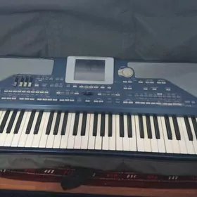 korg pa800