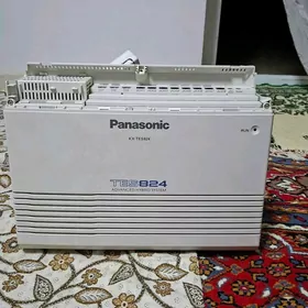 Panasonic TES824