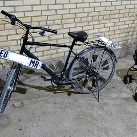 Welsevit 28 lik gysagly