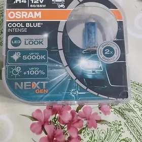 лампы осрам H4