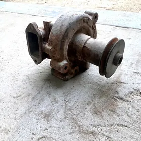 Pompo