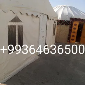 satlyk toy palata Çadyr