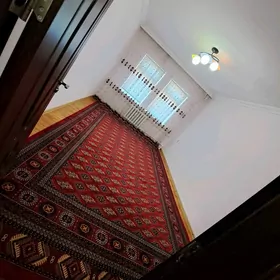 Satlyk jaý elitka dw himik