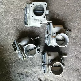 carolla zaslonko MORDA