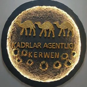 Boş iş orunlary