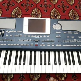 pa800