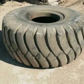 Teker 29.5.25 Aýak 29Lyk текер