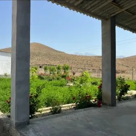 satlyk plan jaý 8 ýap daça 3 nji